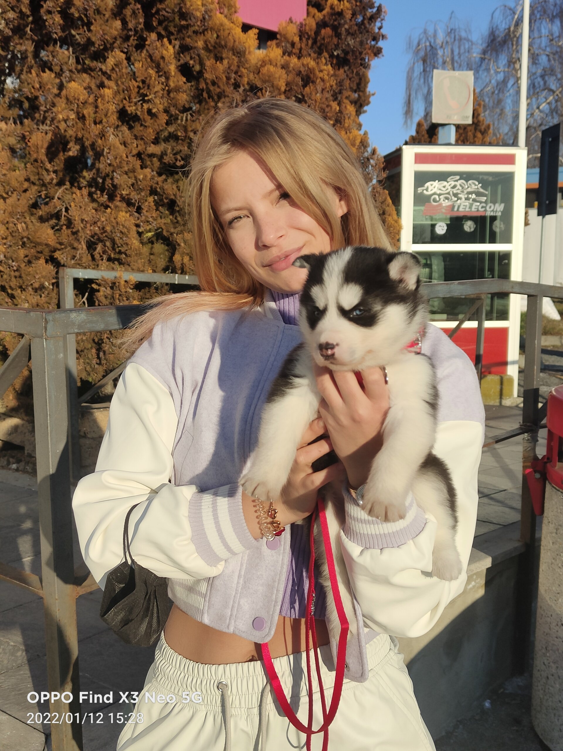 Profile of AnastasiaAniess